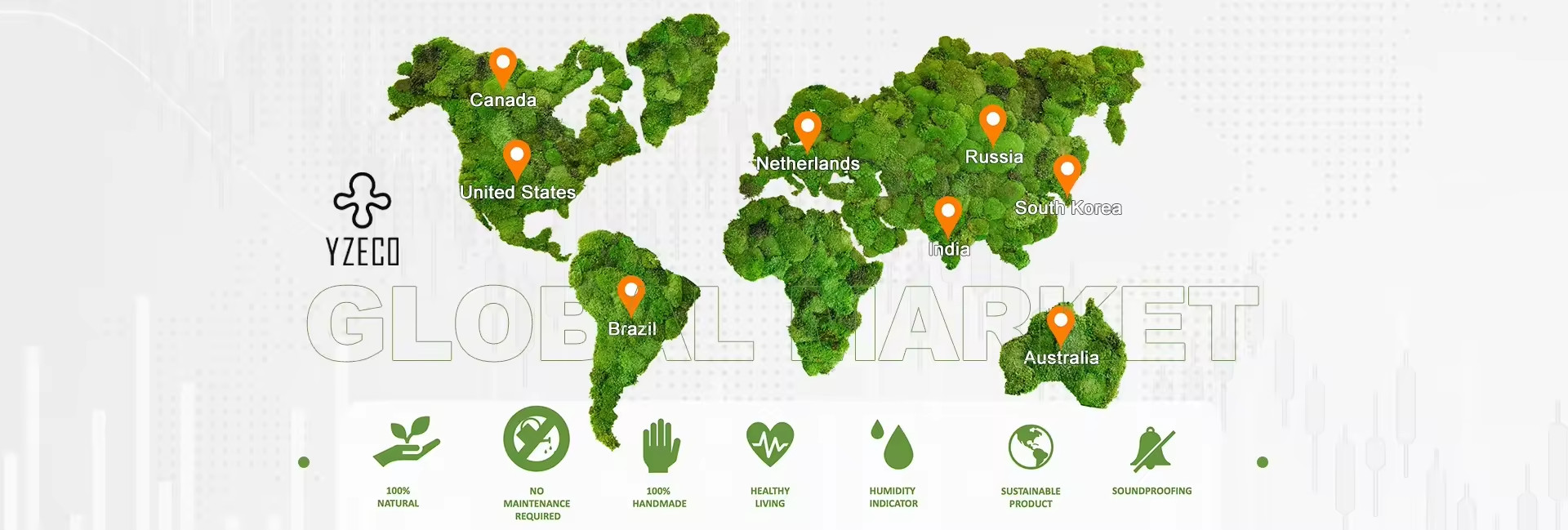 qualità Muschio naturale conservato fabbrica